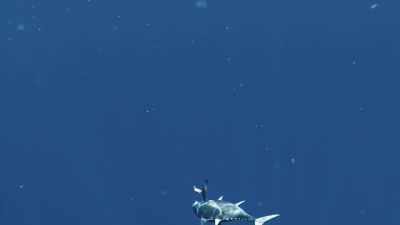  -Fifty pounder.
-[kodi]  that's a nice fish. - Deadliest Catch: Bloodline