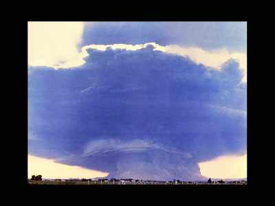 Fifty-six kilometers
to the northwest, - Fire of Love