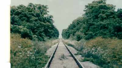 (film projector whirring) - Once Were Brothers