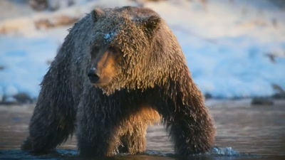 'Filmed over three years... - A Year on Planet Earth