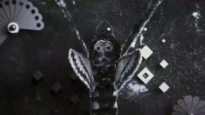 Filmmaker:
Cicada's unique formula - Q: Into the Storm