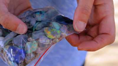 Finally Kelly
is happy with the results. - Outback Opal Hunters