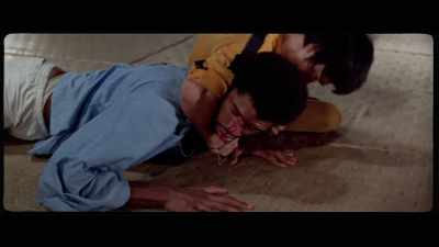 'Finally, with the Guardian subdued, - The Final Game of Death