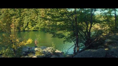 Finch! - All the Bright Places