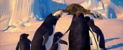 Find me find me - Happy Feet