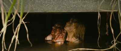 Find him and drain him
like a fucking bottle. - Eden Lake