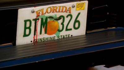 Find something ? - CSI: Miami