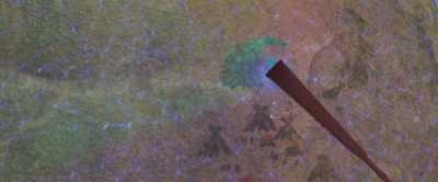 Find the forest, and
find the glacier. - Fantastica: A Boonie Bears Adventure