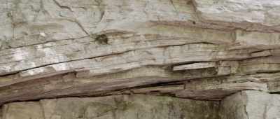 ... to find the information needed to reconstruct it. - Is Genesis History?
