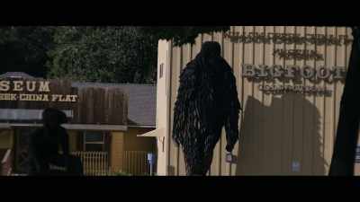 Finding Bigfoot - Sasquatch