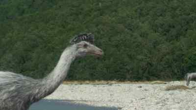 Finding enough nesting material
is not easy… - Prehistoric Planet