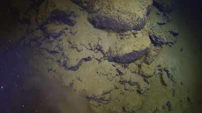 Finding the engines
is like looking - Tales From The Explorers Club