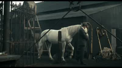 Fine beast you got there, Thomas. - Peaky Blinders