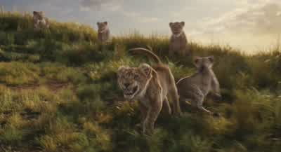 Fine I'll wait Let's goHey I heard his father sayHe doesn't want this strayI dare you to say that again to my faceWhat did you say 'bout my brotherThat's not a stray that's my brotherYou stay away from my brother 'cause I say soIf you put your paws on my - Mufasa: The Lion King