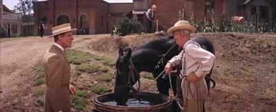Fine-looking animal. - The Music Man