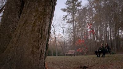 Fine. - The Originals