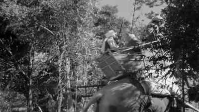 FINE SHOT, SIR. - The Charge of the Light Brigade