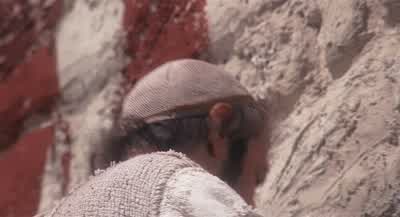 Finished! - Life of Brian