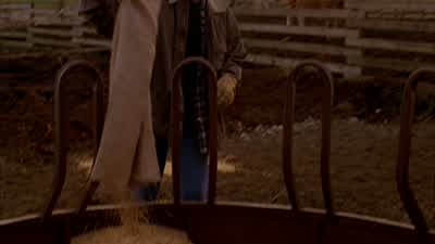 Finished with the hay. - Smallville