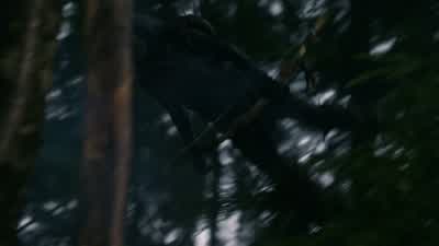Finn, get back! - The 100