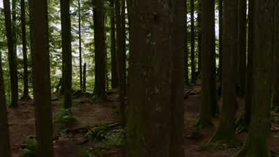 Finn: Last night was pretty intense. - The 100