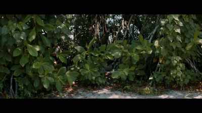 - [Finn] So I got word
that the rescue ship - Castaways