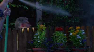 FINNERTY! - Grounded for Life