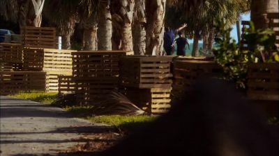 Fiona: THEY STOPPED. - Burn Notice
