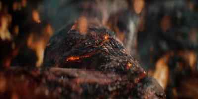 - (fire crackling)
- (blood drips) - Dune: Prophecy