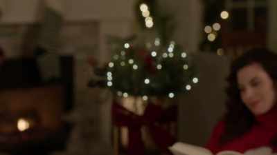 (fire crackling)
(gentle music) - The Secret Gift of Christmas