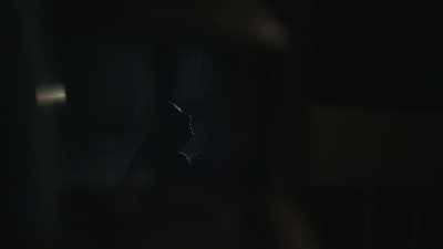 - [fire crackling]
- [nocturnal chirping] - The Queen's Gambit