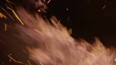 [fire crackling] - The Cult of The Family