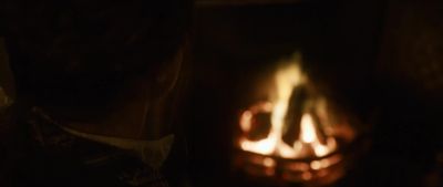 [fire crackling] - Frankenstein: Legacy