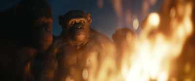 [fire crackling] - Kingdom of the Planet of the Apes