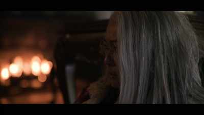 [fire crackling] - The Night Agent