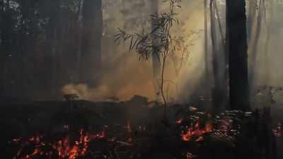 FIREFIGHTER 1: Cultural burning
is not just about - Bring Your Own Brigade