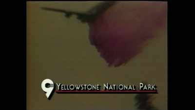 Firefighters
say they are battling - Yellowstone: One-Fifty