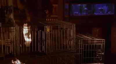 (fireman #1)
GET AS MANY AS YOU CAN. - Bingo