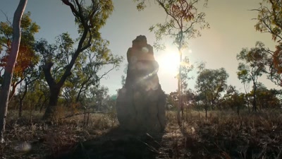 Fires can claim over a billion
animals in a single year. - A Year on Planet Earth