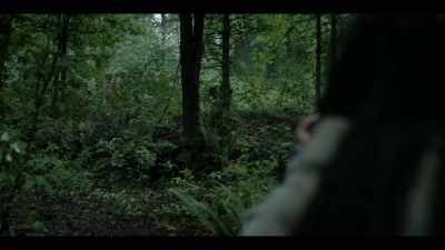[firing] - Earth Abides