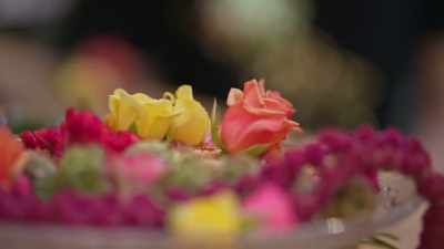Firmly focused on their future, - Down for Love