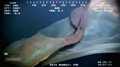 FIRST DISCOVERED IN 1960, - Strange Evidence
