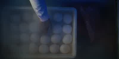 First-ever mind fight held in a pizza dough freezer. - Stranger Things