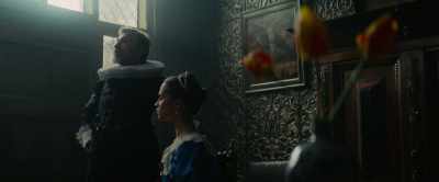 First to flower first to fall - Tulip Fever