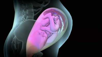 First hormonal changes
which are then translated - The Way of the Psychonaut