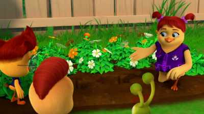 First, we knew that someone
took Mom's petunias, - The Chicken Squad