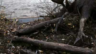 First light, comes
barreling in here, - Life Below Zero: Next Generation