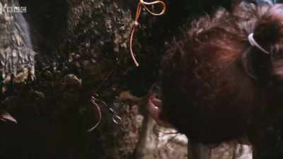 First, she must find the hole. - Mountain Vets