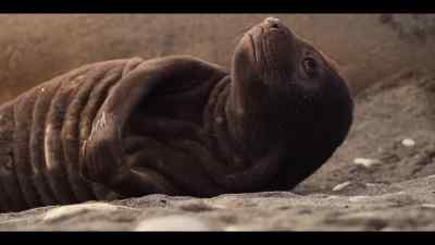 First, he needs to fill out
his oversized birthday suit - Our Oceans