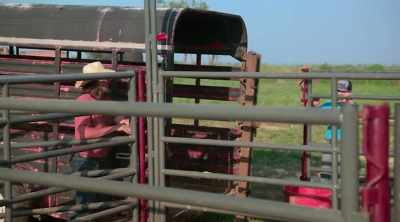 First team all-state trailer backing.
That was me, old son. - How to Be a Cowboy